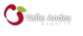 logo de Valle Andes
