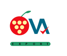 logo de ova export